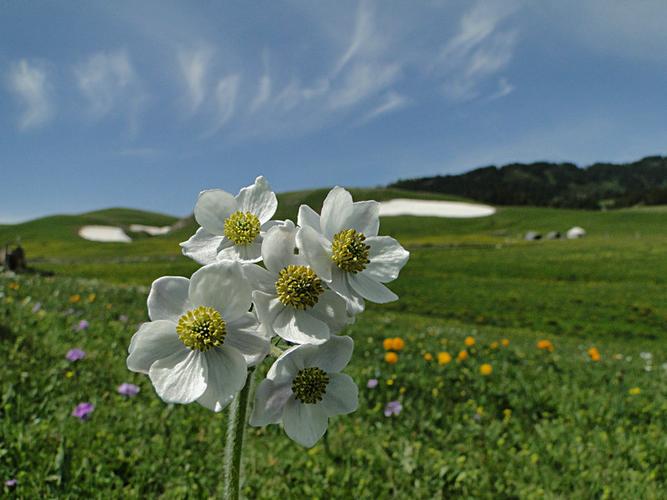 日当たりの確保