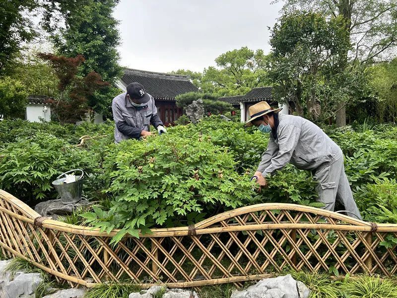 水やりのコツ